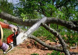 Leaf Removal in Kings Bay Base, GA