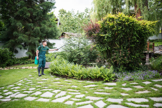 Lawn Pest Prevention in Kings Bay Base, GA