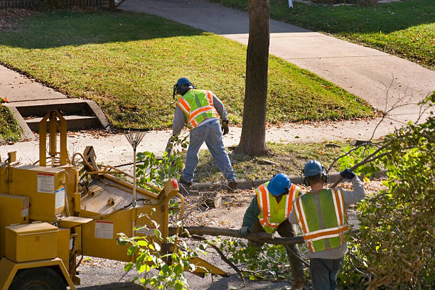 Best Landscape Design and Installation  in Kings Bay Base, GA